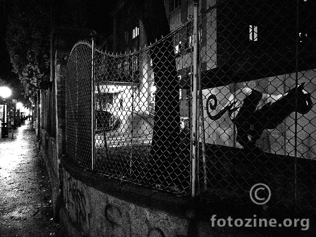 foto br. 771936