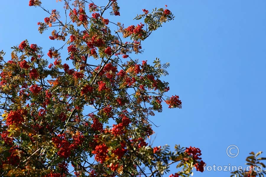 Red on sky