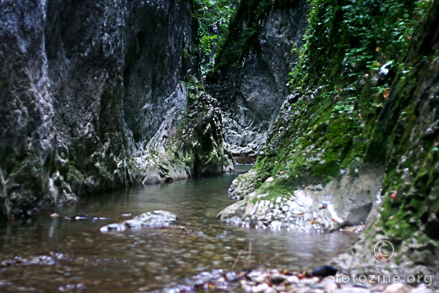 foto br. 199537
