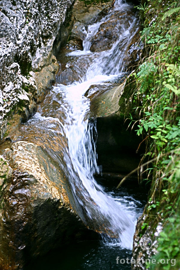 foto br. 199540