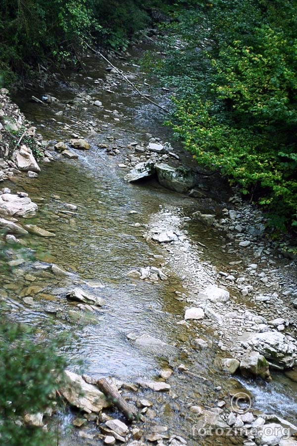 foto br. 199542