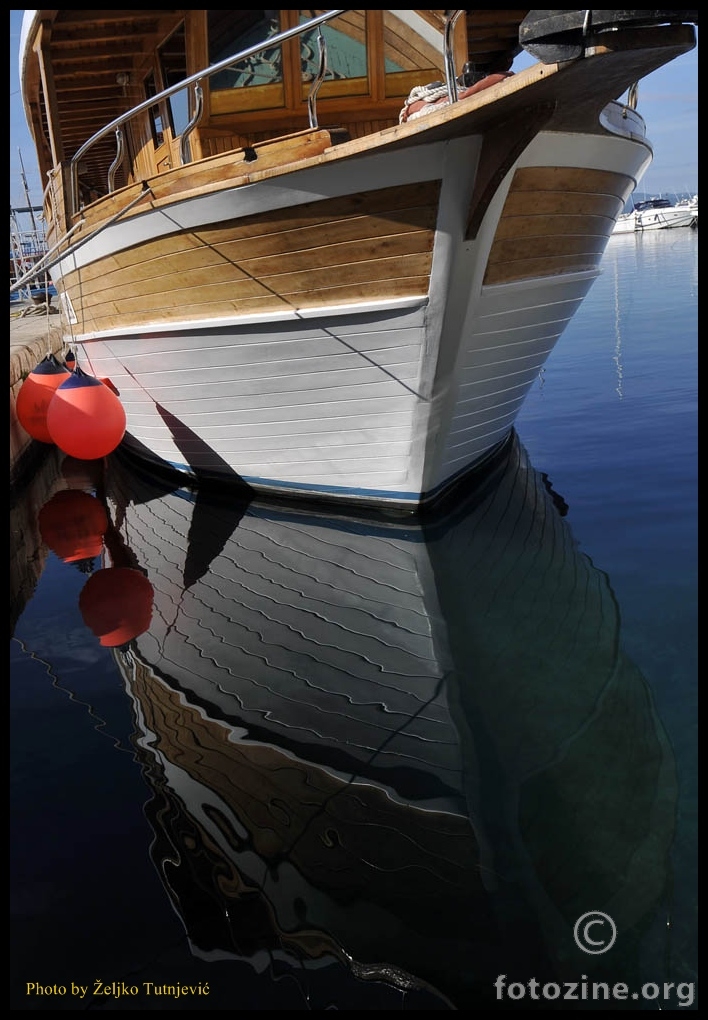 BAŠKOVODSKE REFLEKSIJE - BY ŽT