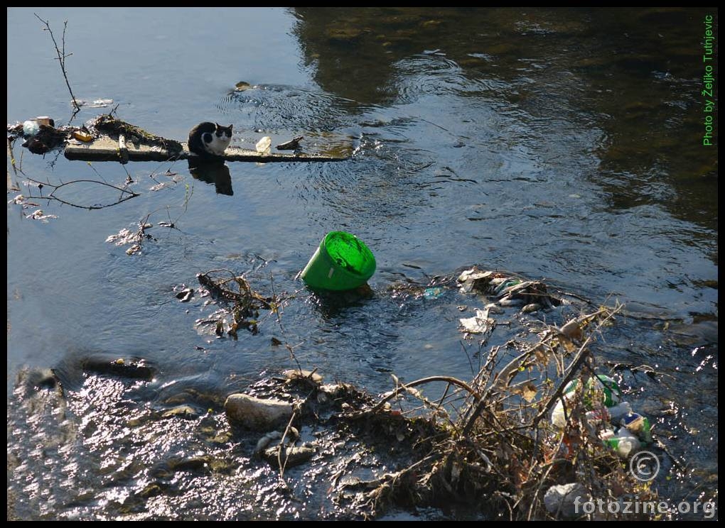 BI LI SE UMILA, RIBU LOVILA, ČISTILA, IL' SAMOUBOJSTVO UTAPANJEM UČINILA BY ŽT