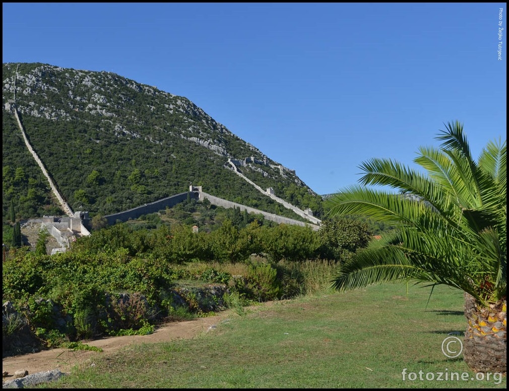 STONSKE ZIDINE I PALME ZELENE BY ŽT