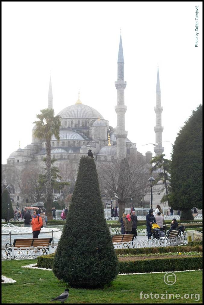 S ISTANBULSKE ULICE, PLAVA DŽAMIJA, NEŠTO ZELENILA, CRNE I CRNOSIVE PTICE BY ŽT