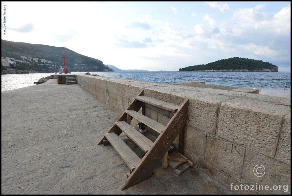 ČUVAR PORPORELE POSPAN DOČEKAO  NOVI DAN BY ŽT