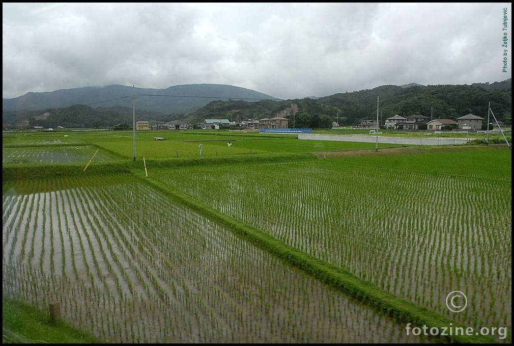 Uspomene s putovanja - JAPAN - RIŽINA POLJA