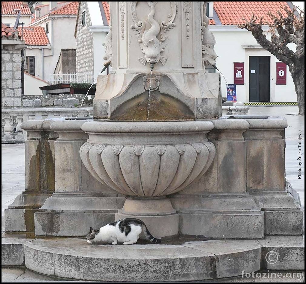 VODU PIJE, A ZA RIBU KOJA VODU LIJE GA UOPĆE BRIGA NIJE BY ŽT