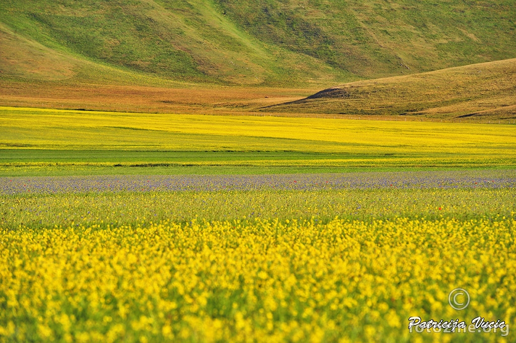 Castelluccio