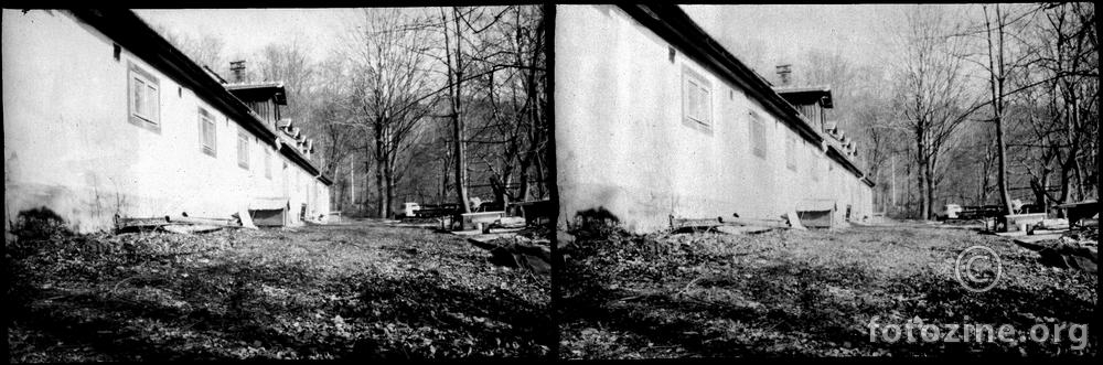 Brestovec