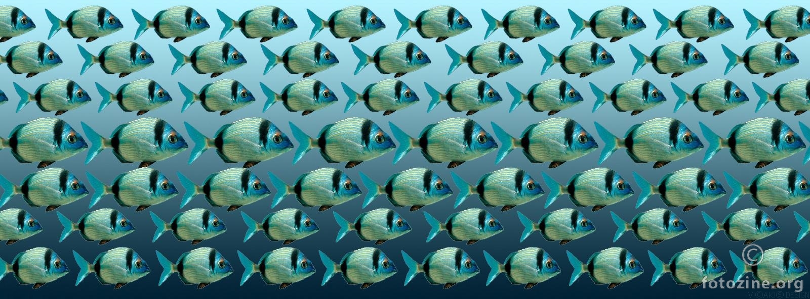 FRA3 (stereogram)