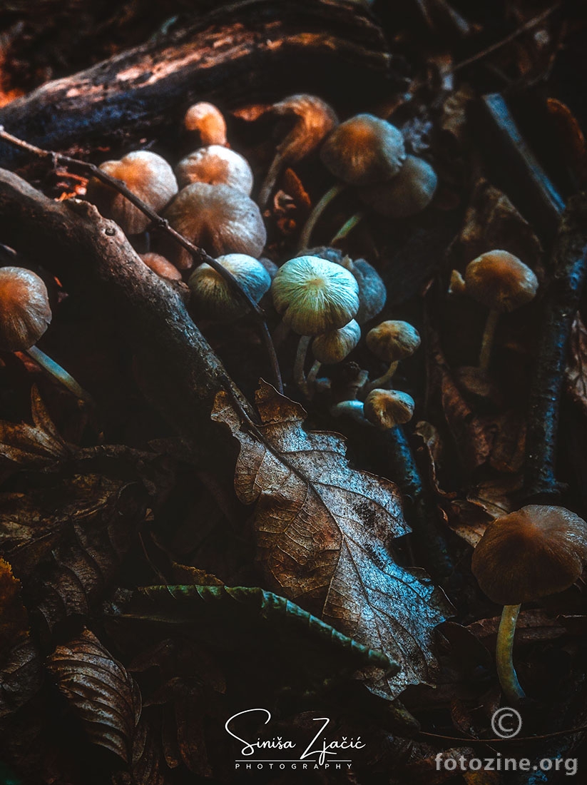 Jesenske uspomene