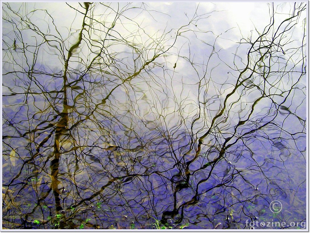 Kad priroda slika...