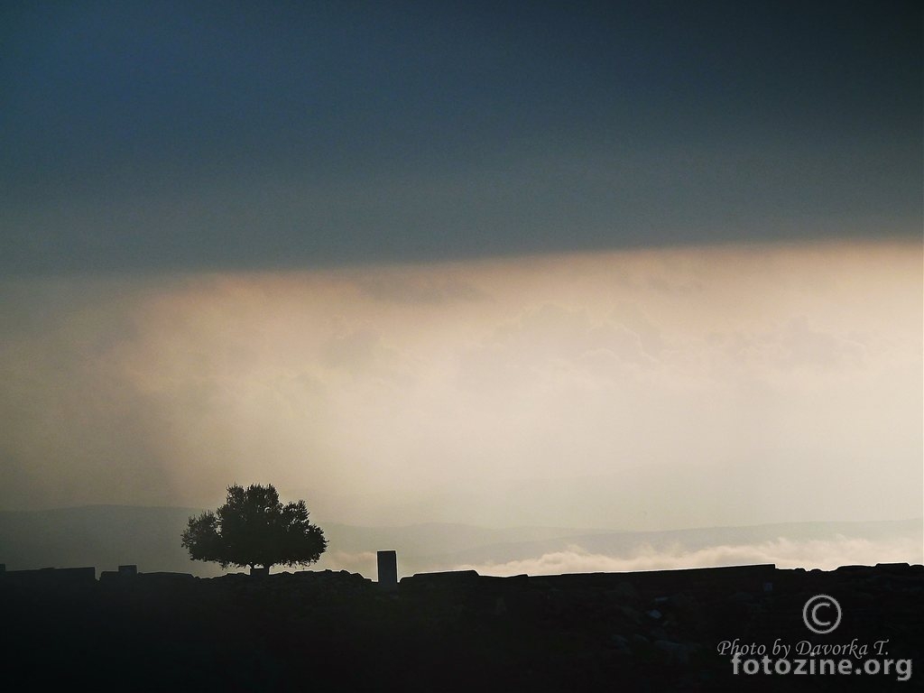 Tu, u maglenom jutru između snova............