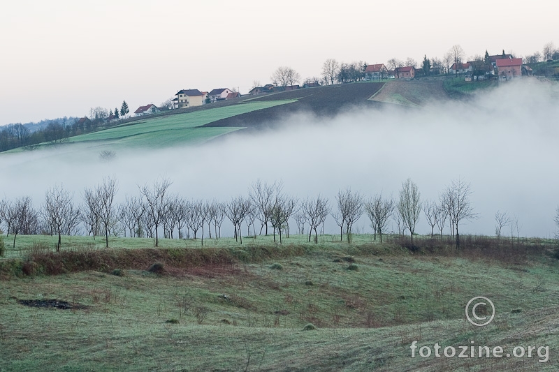 mladi vočnjak prije listanja