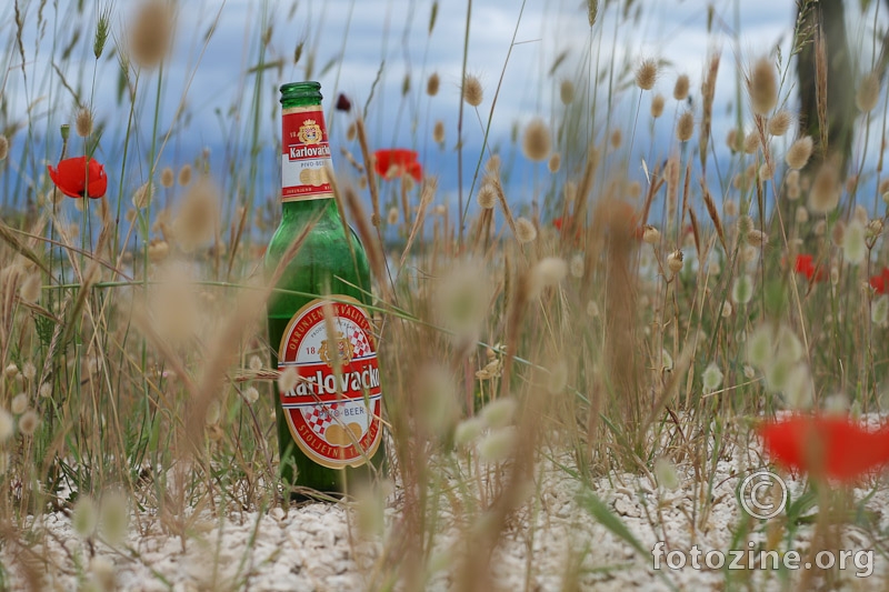 Karlovačko u pjesku travi i makovima