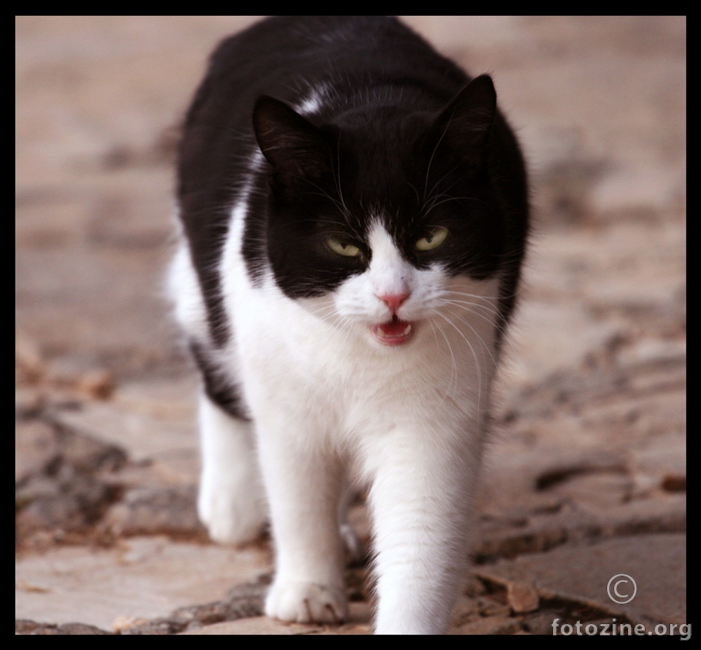 Odstupi mali ili...!!!