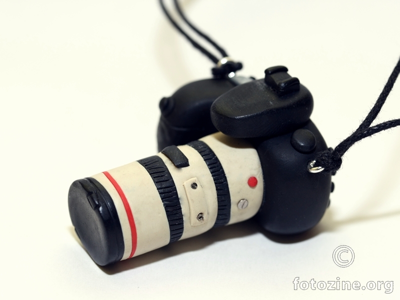 Canon EOS 20D & 70-200 f/2.8 L