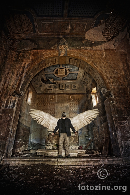 "Wings"