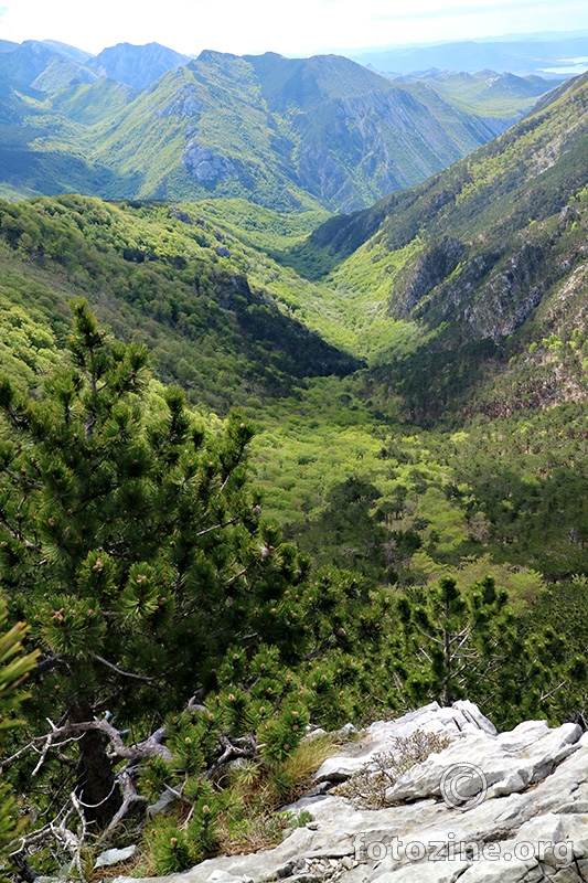 Velebit