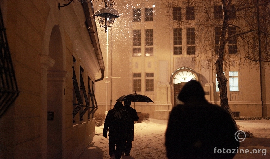 winter walk