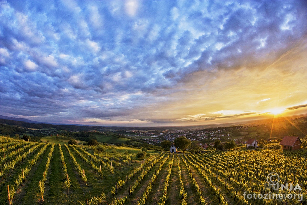 Zalazak Sunca iz daruvarskih vinograda