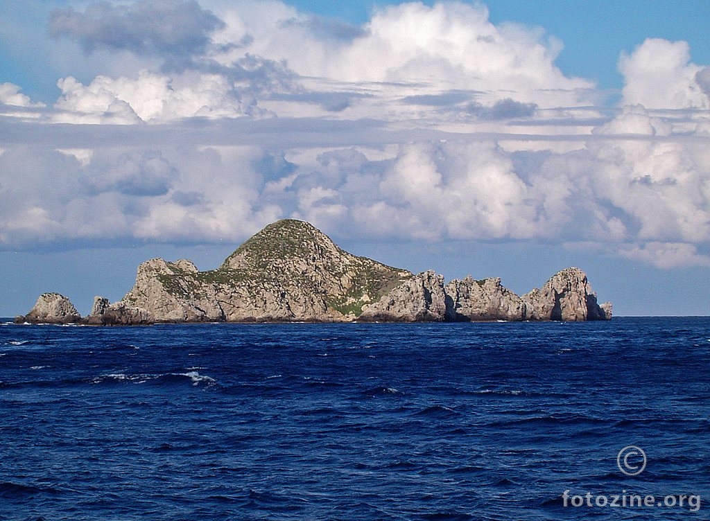 otok Palagruža