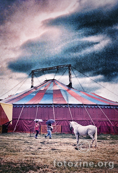 Poslednji cirkus