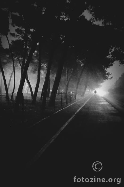 Night Watcher..
