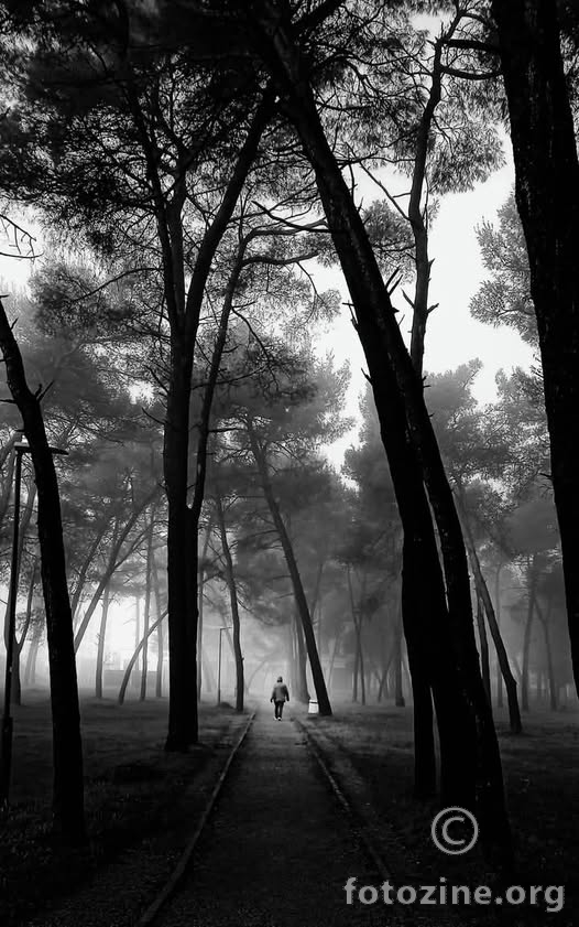 alone...