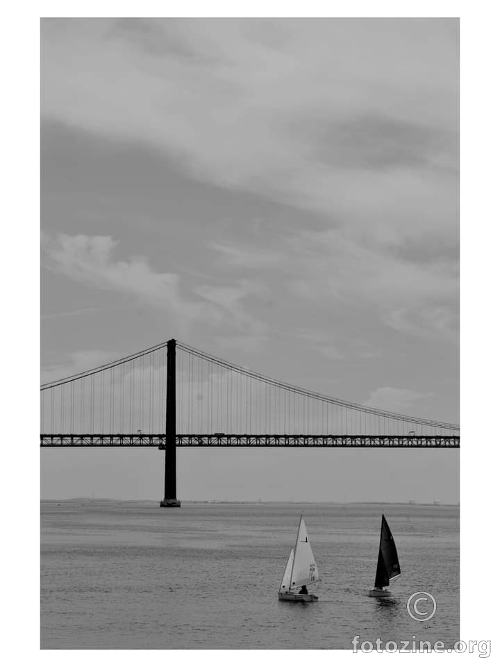 foto br. 768842