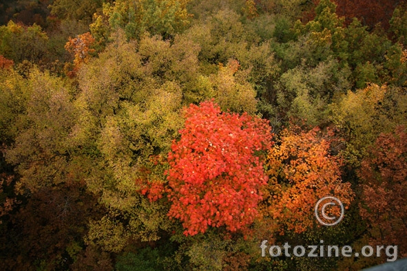 boje jeseni