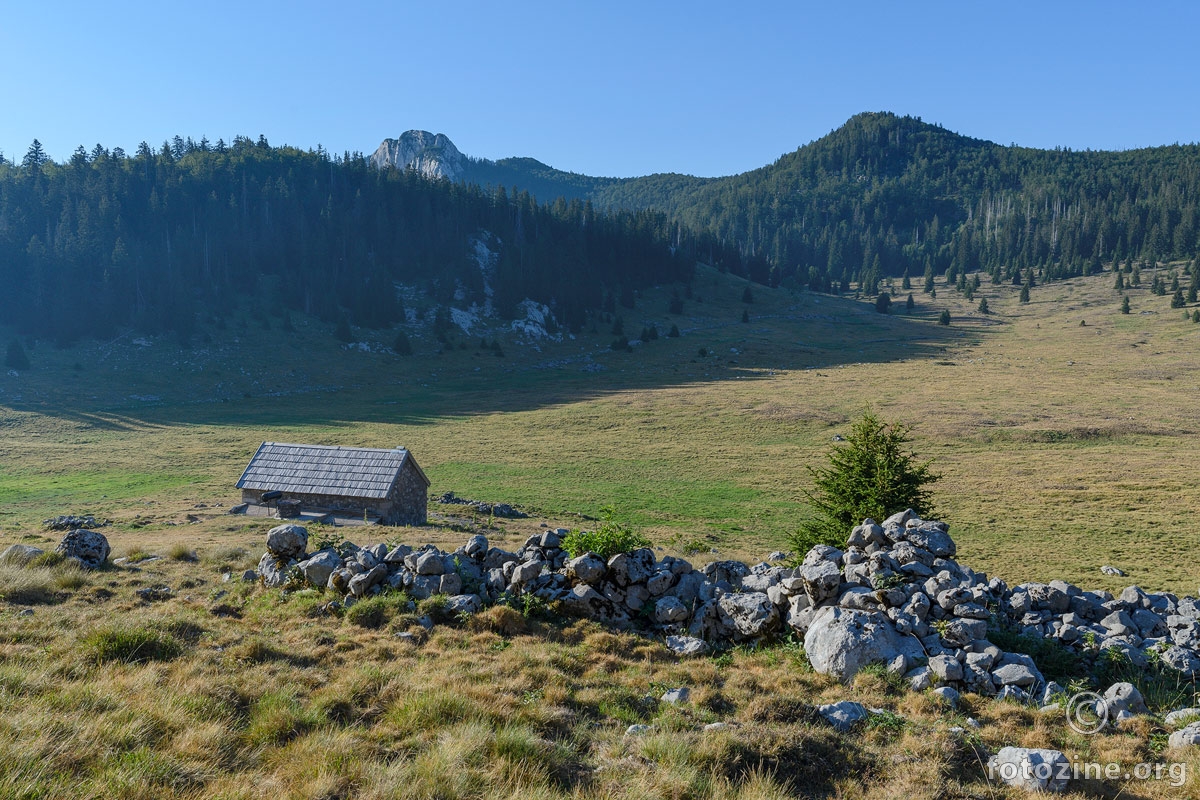 Veliki Lubenovac