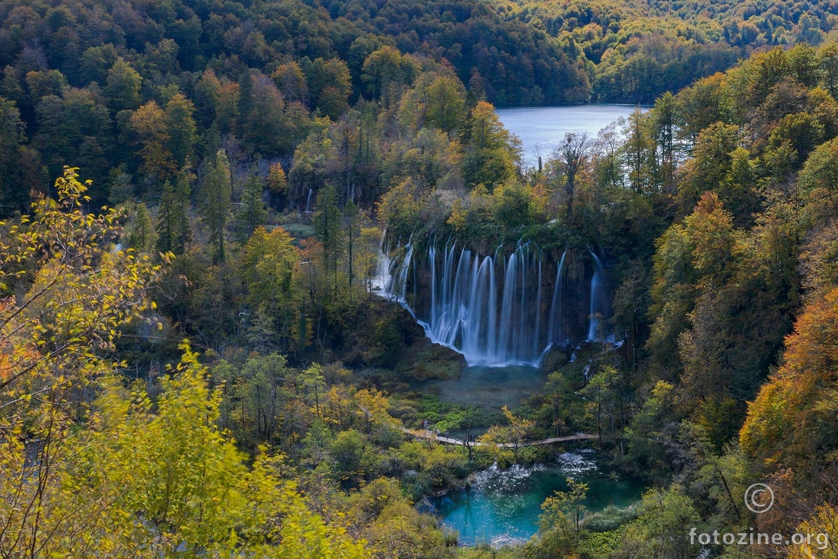 Veliki prštavac