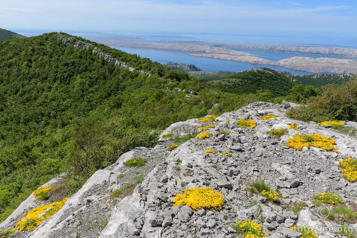 Proljeće