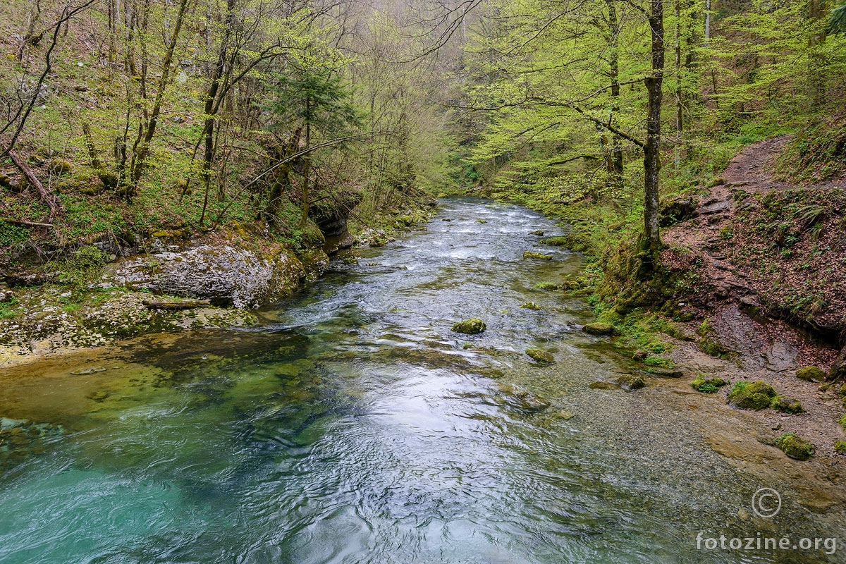 Stiglo proljeće