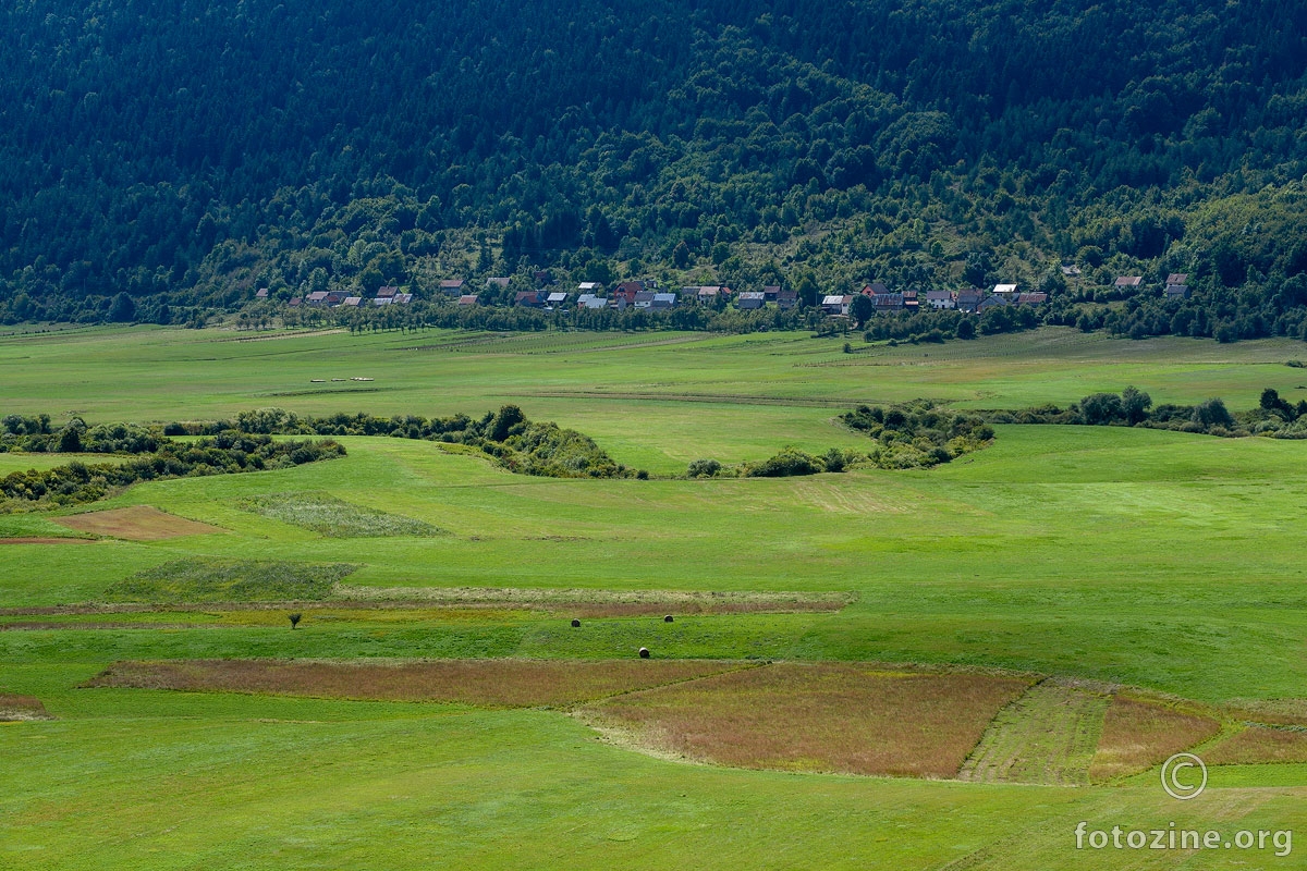 Lipovo polje