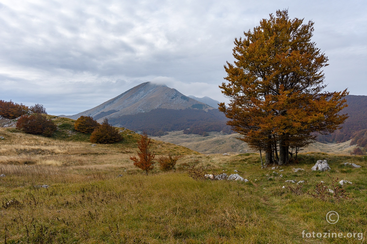 Dušice i Sveto brdo