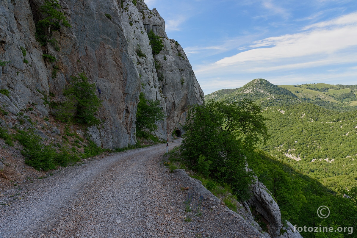 Uzdužna (dabarska) velebitska cesta