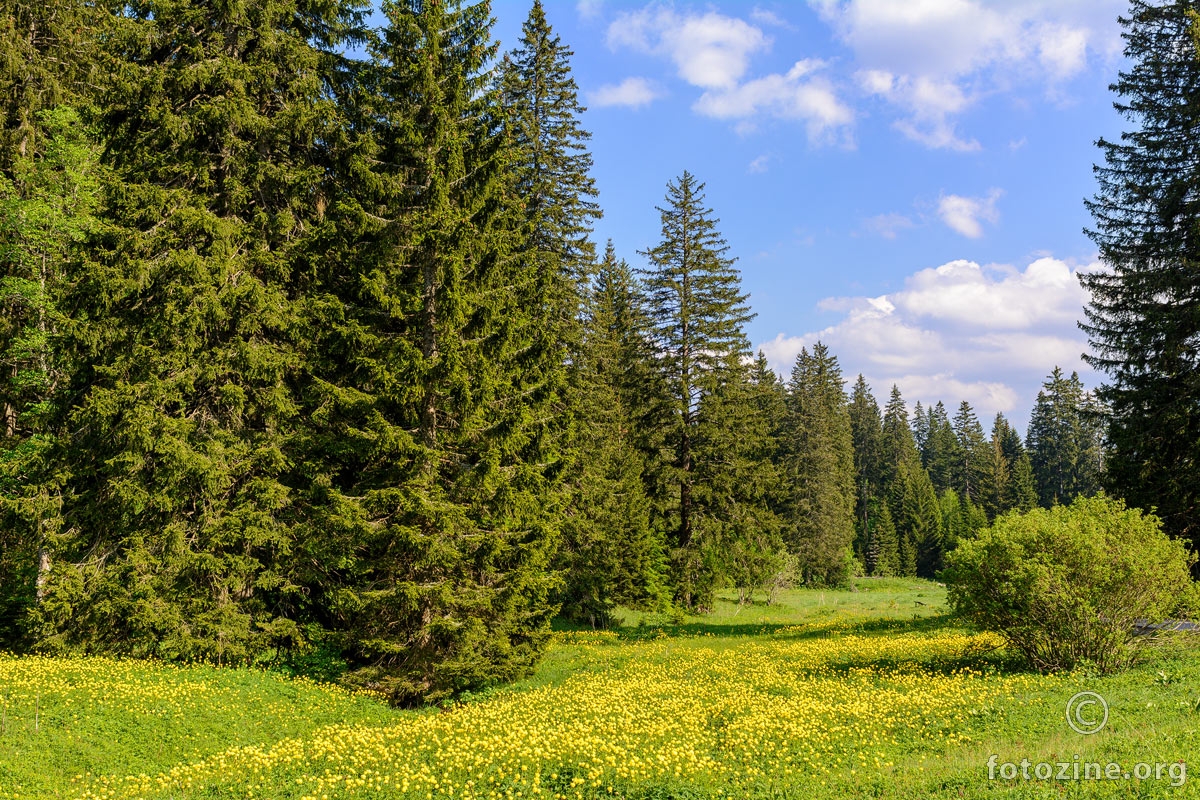 Proljeće na Štirovači