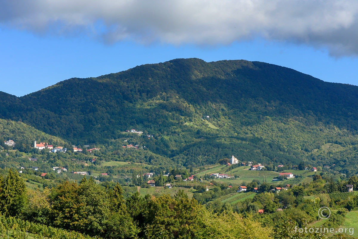 Plešivica