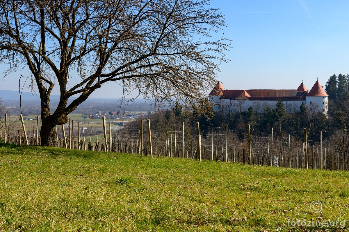 Pogled iz vinograda