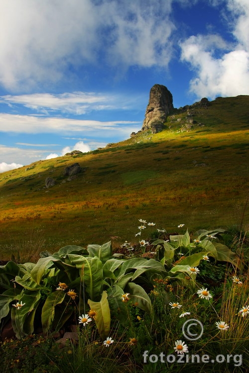 Babin Zub, Stara Planina