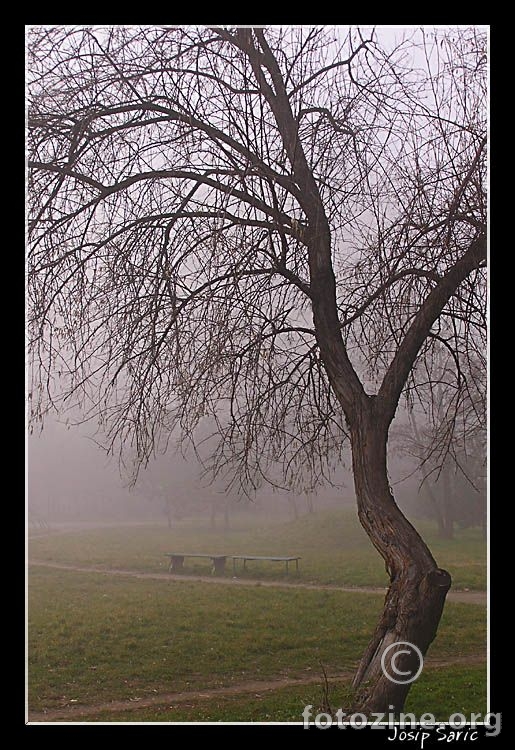 Zemun
