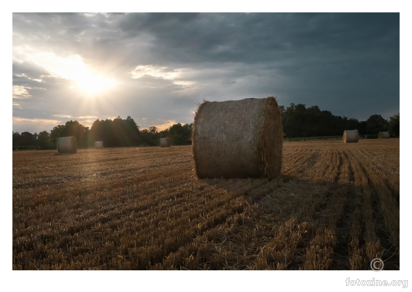 Žetva prije kiše