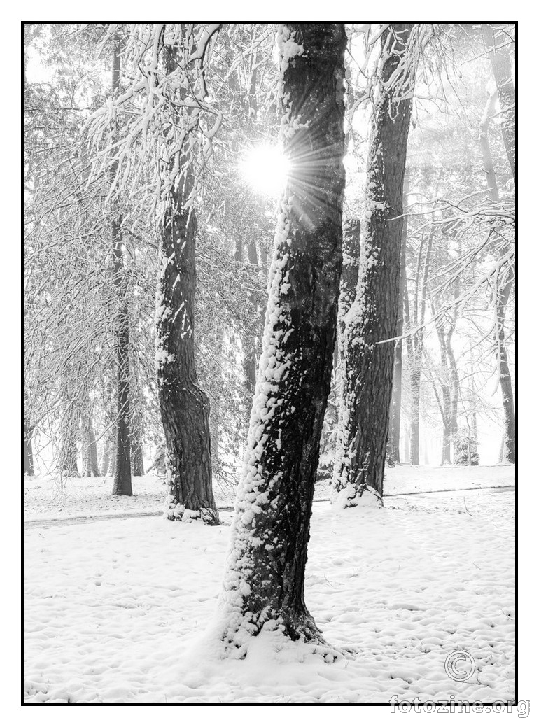 Ledeno jutro