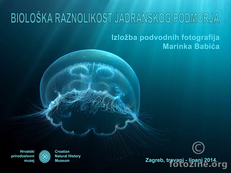 Biološka raznolikost jadranskog podmorja