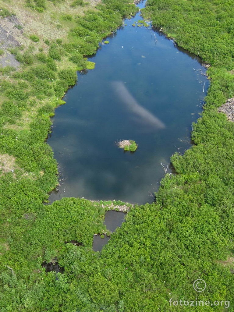 Perfektan beaver dam