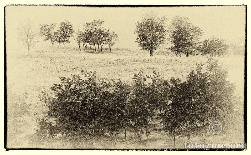 foto br. 574257