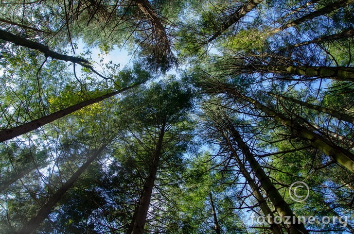 samo nebo je granica